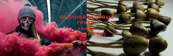 не бодяженный Алексин