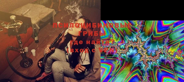 не бодяженный Алексин