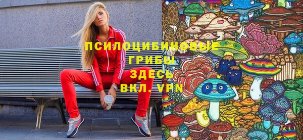 не бодяженный Алексин