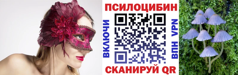 где найти наркотики  Ивдель  Галлюциногенные грибы MAGIC MUSHROOMS 